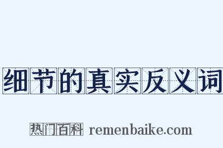 细节的真实反义词是什么意思的图片